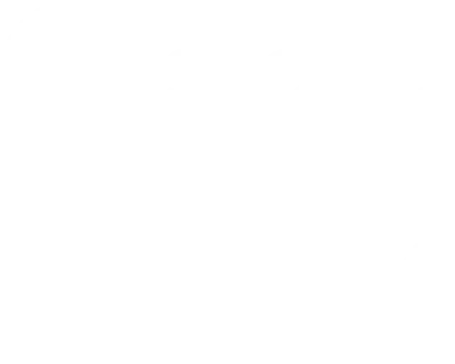 TNT SPORTS + MAX